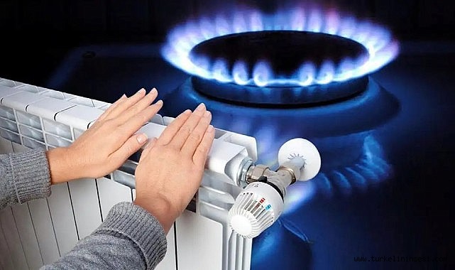 Radiator and cooker equipment